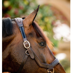 Rambo Micklem Halfter Horseware Braun