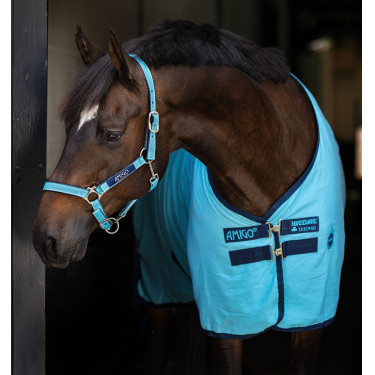 Pferdedecke Horseware Amigo Delphinium 0g Pferdedecke Horseware Amigo Delphinium 0g