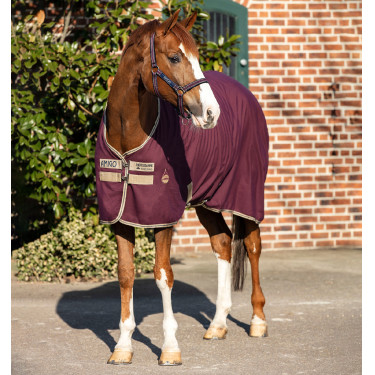 Pferdedecke Horseware Amigo Delphinium 0g Pferdedecke Horseware Amigo Delphinium 0g