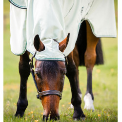Vollständige Decke Horseware Rambo Hoody 0g Vollständige Decke Horseware Rambo Hoody 0g