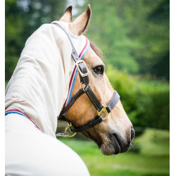 Komplettdecke Horseware Rambo Hoody Pony 0g Komplettdecke Horseware Rambo Hoody Pony 0g