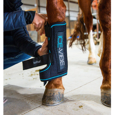 Massagetherapie-Gamaschen Horseware Ice-Vibe Massagetherapie-Gamaschen Horseware Ice-Vibe