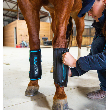 Massagetherapie-Gamaschen Horseware Ice-Vibe Massagetherapie-Gamaschen Horseware Ice-Vibe