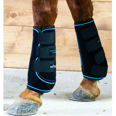 Massagetherapie-Gamaschen Horseware Ice-Vibe Massagetherapie-Gamaschen Horseware Ice-Vibe