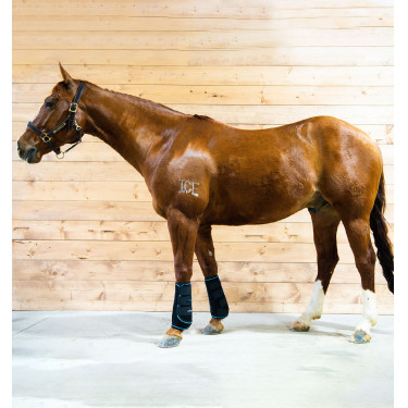 Massagetherapie-Gamaschen Horseware Ice-Vibe Massagetherapie-Gamaschen Horseware Ice-Vibe