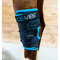 Gamaschen Horseware Ice-Vibe Schwarz / Aqua-Blau