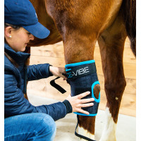 Gamaschen Horseware Ice-Vibe Schwarz / Aqua-Blau