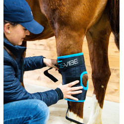Gamaschen Horseware Ice-Vibe Gamaschen Horseware Ice-Vibe