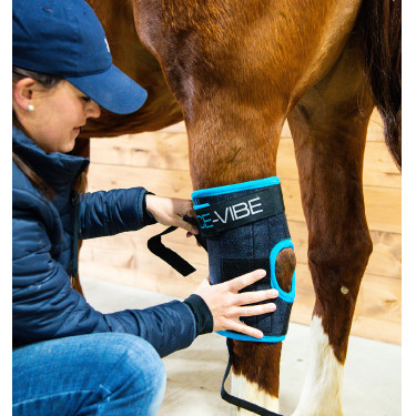 Gamaschen Horseware Ice-Vibe Gamaschen Horseware Ice-Vibe