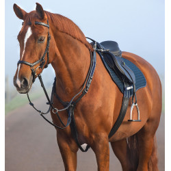 Brustblatt Horseware Micklem Brustblatt Horseware Micklem