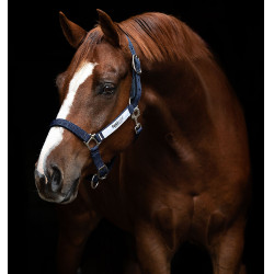 Sicherheits-Halfter Horseware Field Safe Sicherheits-Halfter Horseware Field Safe