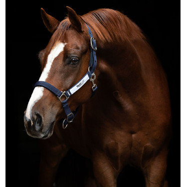 Sicherheits-Halfter Horseware Field Safe Sicherheits-Halfter Horseware Field Safe