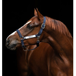 Sicherheits-Halfter Horseware Field Safe Sicherheits-Halfter Horseware Field Safe