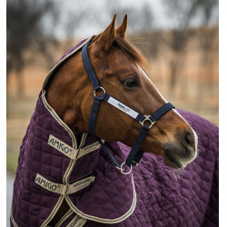 Sicherheits-Halfter Horseware Field Safe Sicherheits-Halfter Horseware Field Safe