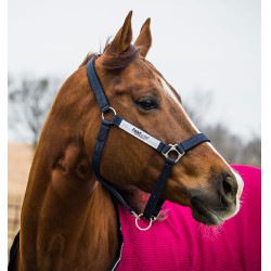 Sicherheits-Halfter Horseware Field Safe Sicherheits-Halfter Horseware Field Safe