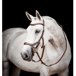 Micklem 2 Competition Rambo Zaumzeug von Horseware Dunkles Havanna Braun Micklem 2 Competition Rambo Zaumzeug von Horseware Dunkles Havanna Braun