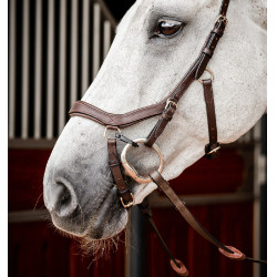 Micklem 2 Competition Rambo Zaumzeug von Horseware Dunkles Havanna Braun Micklem 2 Competition Rambo Zaumzeug von Horseware Dunkles Havanna Braun