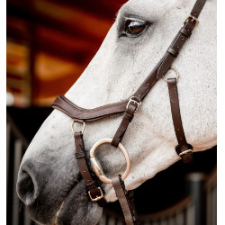 Micklem 2 Competition Rambo Zaumzeug von Horseware Dunkles Havanna Braun Micklem 2 Competition Rambo Zaumzeug von Horseware Dunkles Havanna Braun