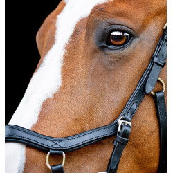 Trense Horseware Micklem 2 Competition mit Gummizügeln Schwarz Trense Horseware Micklem 2 Competition mit Gummizügeln Schwarz