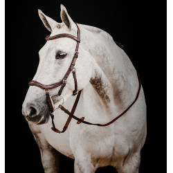 Micklem 2 Deluxe Competition Trensenzaum von Horseware Dunkles Havanna Braun Micklem 2 Deluxe Competition Trensenzaum von Horseware Dunkles Havanna Braun