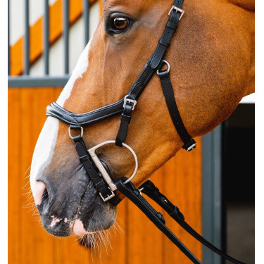 Micklem 2 Deluxe Competition Trensenzaum von Horseware Schwarz