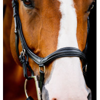 Bridon Horseware Micklem 2 Deluxe Competition Gummizügel Schwarz