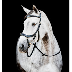 Bridon Horseware Micklem 2 Multi Schwarz Bridon Horseware Micklem 2 Multi Schwarz