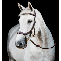 Bridon Horseware Micklem 2 Multi Dunkles Havanna Braun Bridon Horseware Micklem 2 Multi Dunkles Havanna Braun