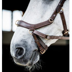 Bridon Horseware Micklem 2 Multi Dunkles Havanna Braun Bridon Horseware Micklem 2 Multi Dunkles Havanna Braun