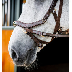 Bridon Horseware Micklem 2 Multi Dunkles Havanna Braun Bridon Horseware Micklem 2 Multi Dunkles Havanna Braun