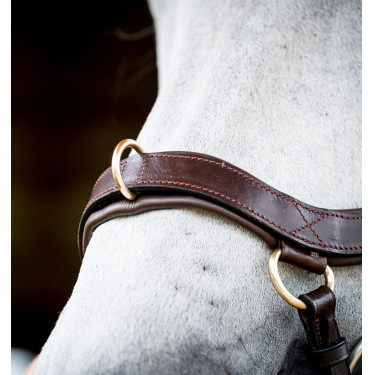 Bridon Horseware Micklem 2 Multi Dunkles Havanna Braun Bridon Horseware Micklem 2 Multi Dunkles Havanna Braun