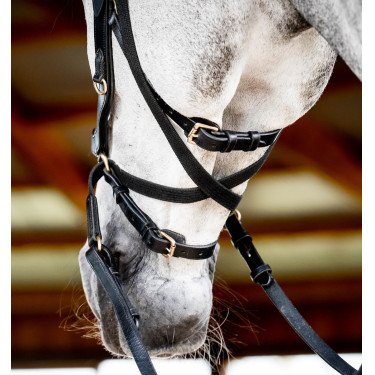 Bridon Horseware Micklem 2 Multi Schwarz Bridon Horseware Micklem 2 Multi Schwarz