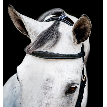 Bridon Horseware Micklem 2 Multi Schwarz Bridon Horseware Micklem 2 Multi Schwarz