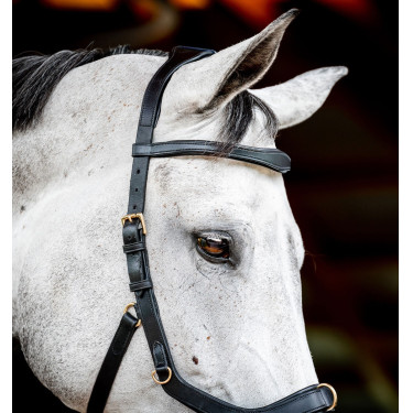 Bridon Horseware Micklem 2 Multi Schwarz Bridon Horseware Micklem 2 Multi Schwarz