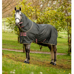Horseware Amigo Hero Ripstop Plus Decke mit Halsteil 0g Horseware Amigo Hero Ripstop Plus Decke mit Halsteil 0g