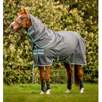 Horseware Amigo Hero Ripstop Plus Decke mit Halsteil 200g Feige / Silber Bordeaux Horseware Amigo Hero Ripstop Plus Decke mit Halsteil 200g Feige / Silber Bordeaux