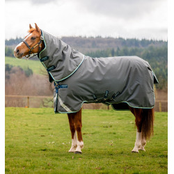 Horseware Amigo® Bravo 12 Plus 400g 1200D Decke Horseware Amigo® Bravo 12 Plus 400g 1200D Decke