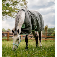 Pferdedecke Horseware Amigo Hero Ripstop 50g Feige / Silber Pferdedecke Horseware Amigo Hero Ripstop 50g Feige / Silber