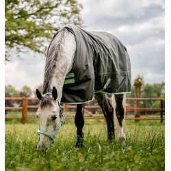 Pferdedecke Horseware Amigo Hero Ripstop 50g Pferdedecke Horseware Amigo Hero Ripstop 50g