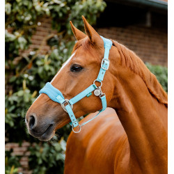 Horseware Halfter zur Pflege Signature Horseware Halfter zur Pflege Signature