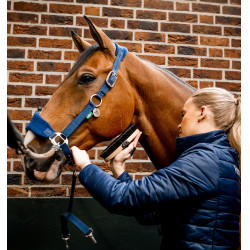 Horseware Halfter zur Pflege Signature Horseware Halfter zur Pflege Signature
