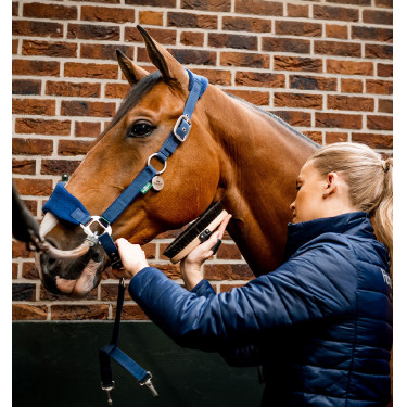 Horseware Halfter zur Pflege Signature Horseware Halfter zur Pflege Signature