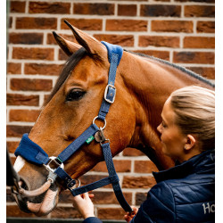 Horseware Halfter zur Pflege Signature Horseware Halfter zur Pflege Signature