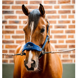 Horseware Halfter zur Pflege Signature Horseware Halfter zur Pflege Signature