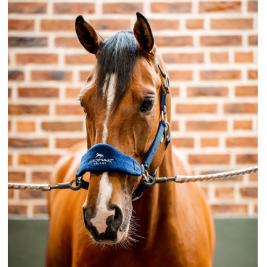 Horseware Halfter zur Pflege Signature Horseware Halfter zur Pflege Signature