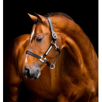 Licol en cuir Horseware Signature Marron