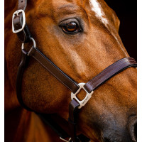Licol en cuir Horseware Signature Marron