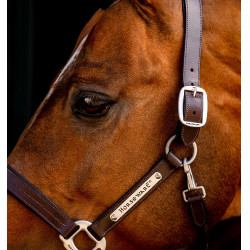 Lederhalfter Horseware Signature Schwarz