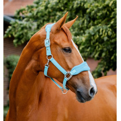 Horseware Halfter zur Pflege Signature Blauer Dunst Horseware Halfter zur Pflege Signature Blauer Dunst