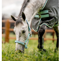 Licol Spécial Pâturage Horseware® Fieldsafe Haze bleu Licol Spécial Pâturage Horseware® Fieldsafe Haze bleu